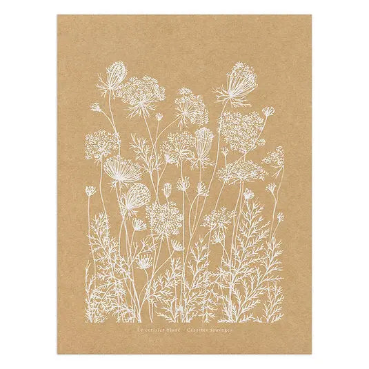 Affiche murale kraft carottes sauvages