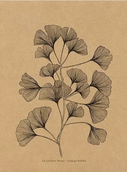 Affiche murale kraft Ginkgo biloba Le cerisier blanc