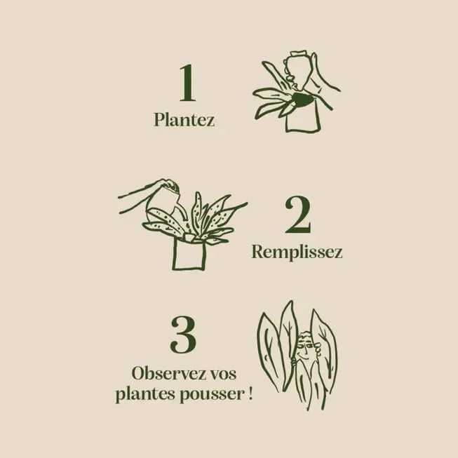 Olla hydratante arrosage autonome petit réservoir d'eau en céramique microporeuse