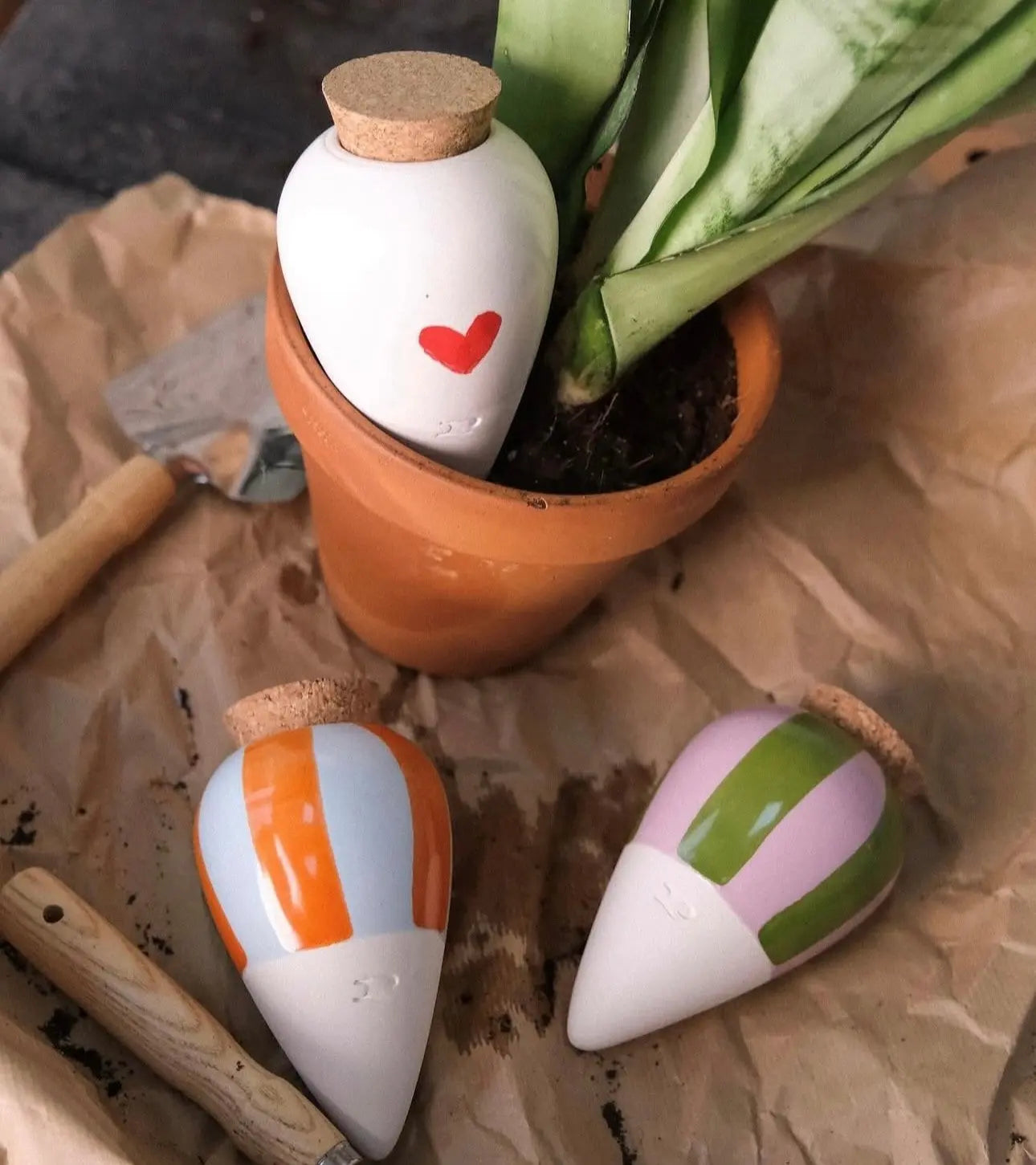 L’Olla arrosage ciblé et autonome Pepin