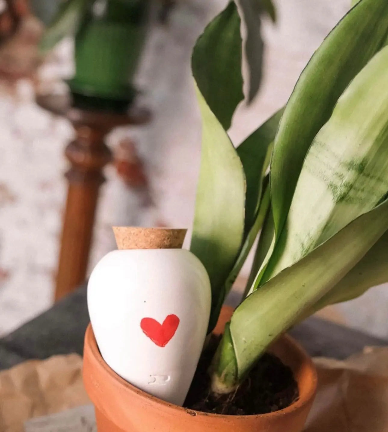 L’Olla arrosage ciblé et autonome Pepin