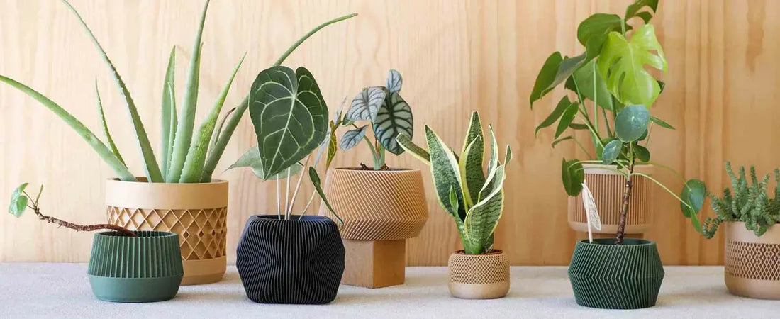 Vases-design-et-durables L'Artelier Déco
