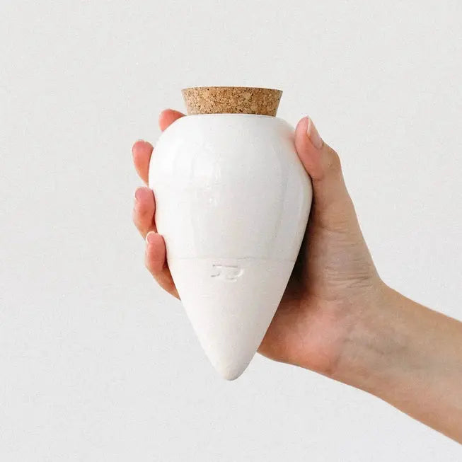 Olla hydratante arrosage autonome petit réservoir d'eau en céramique microporeuse 