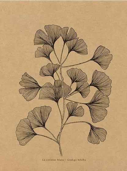 Affiche murale kraft Ginkgo biloba - Le Cerisier Blanc