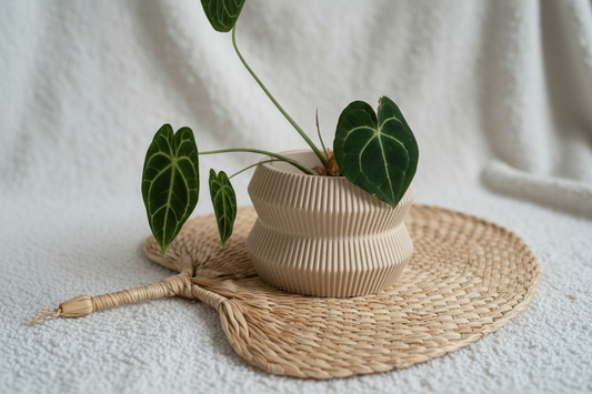 Cache-pot couché avec plante verte
