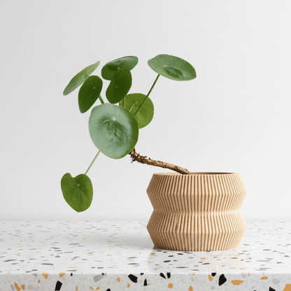 Cache - pot ITO - Cache - pot | L'Artelier Déco