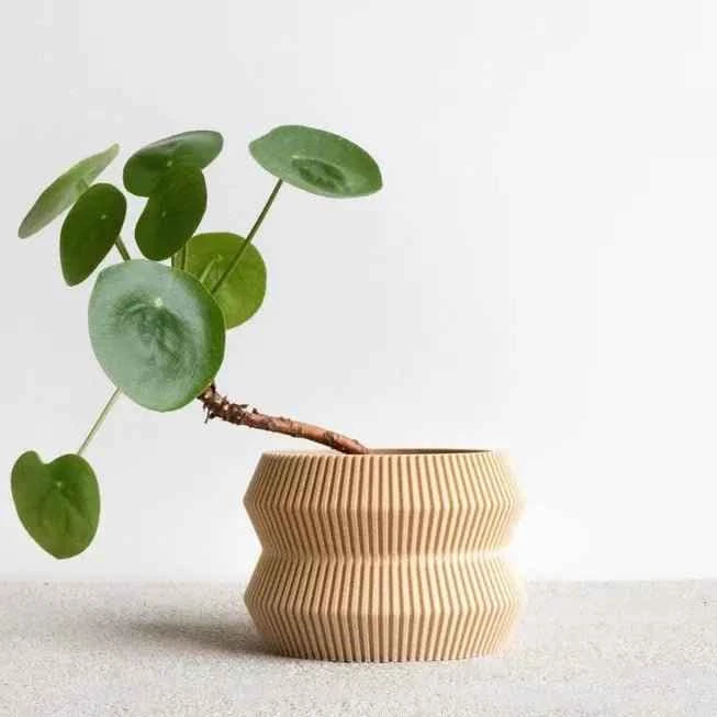Cache-pot ITO