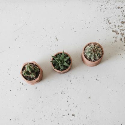 Flat lay vue dessus 3 pots terracotta