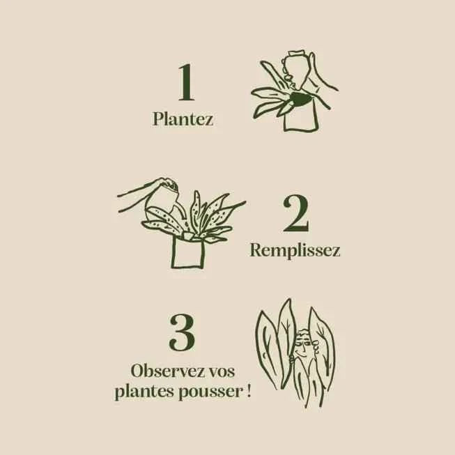L’Olla Pepin – Arrosage autonome et naturel en terre cuite