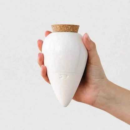 L’Olla Pepin – Arrosage autonome et naturel en terre cuite