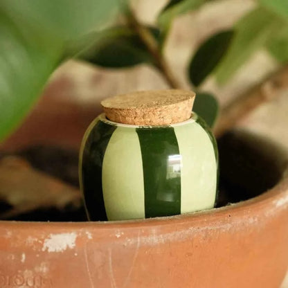 L’Olla Pepin – Arrosage autonome et naturel en terre cuite