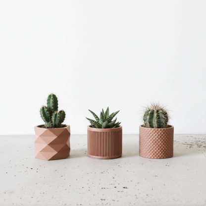 Pots terracotta avec plantes